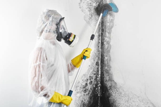 Best Indoor Air Quality Assessment  in Faith, NC