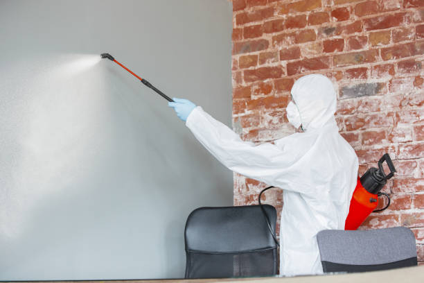 Best Real Estate Mold Inspection  in Faith, NC