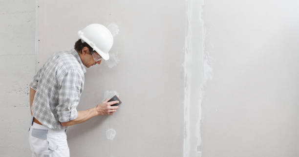 Best Environmental Consulting for Mold Prevention  in Faith, NC