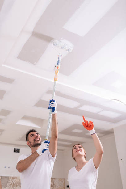 Faith, NC Mold Removal Company