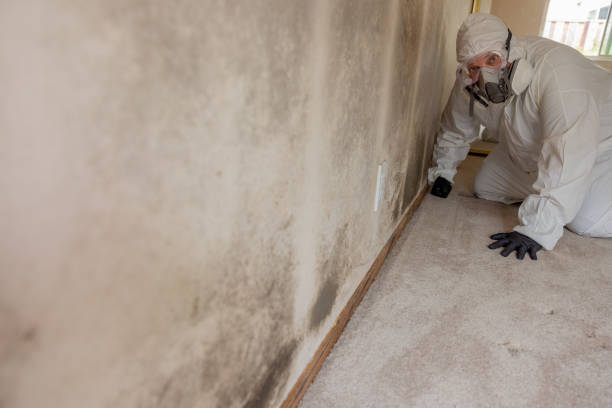 Best Airborne Mold Testing  in Faith, NC
